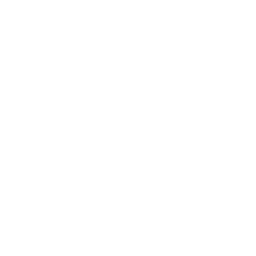 Custom Workflows & Process Automation